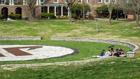 Students sitting around rim of bowl on campus
