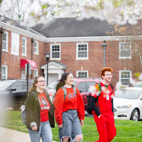 Students walking outside on a spring day.