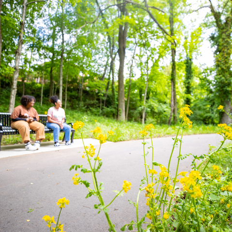 Students sitting on a bench in nature