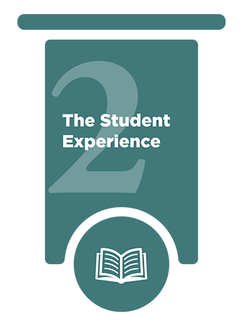 Pillar 2: The Student Experience