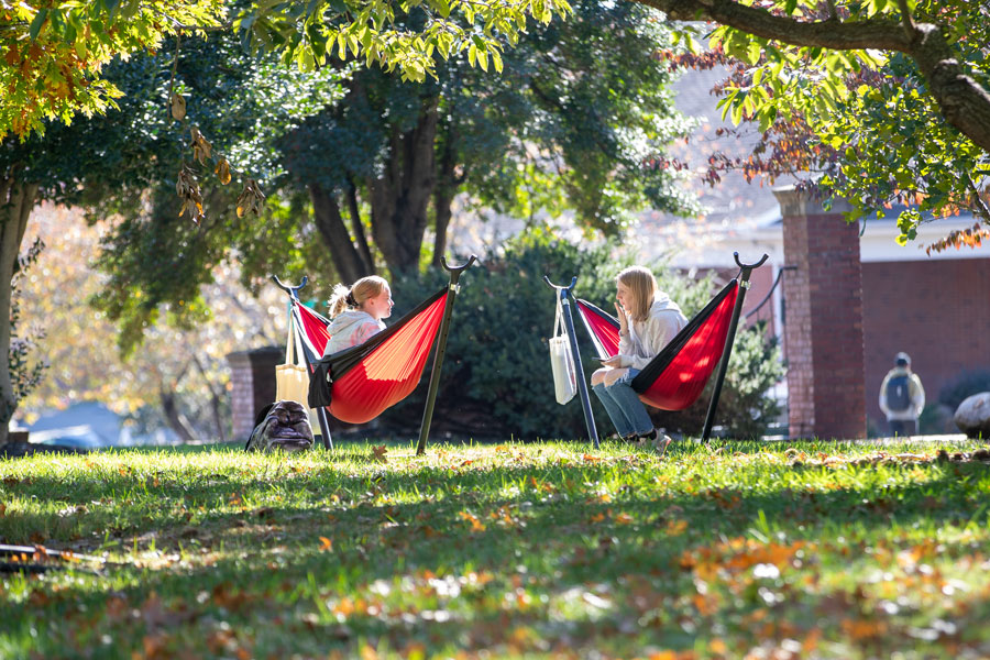 Students connecting while enjoying a sunny day in the campus hammocks