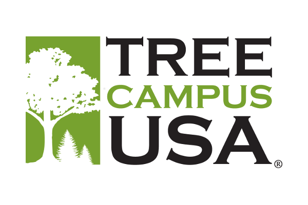 Tree Campus USA Logo