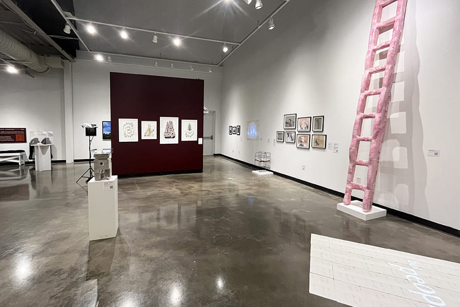 A photo depicting various works from the show including a burgundy wall with framed artworks, a bubblegum-pink ladder, a sculpture on a podium, and a projection on top of pieces of paper laid on the floor.