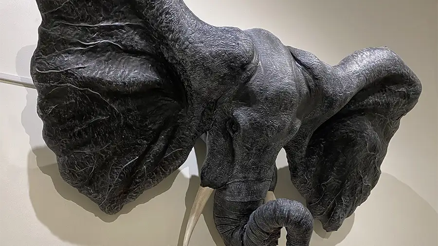 Artwork by Stacy Holloway